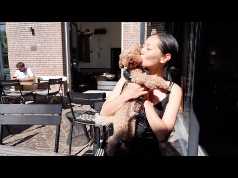 LEVANDO MEU TOYPOODLE PARA UM RESTAURANTE COREANO E REUNIÃO PARA UMA COLABORAÇÃO EMOCIONANTE | HIU KWAN CHUNG #7