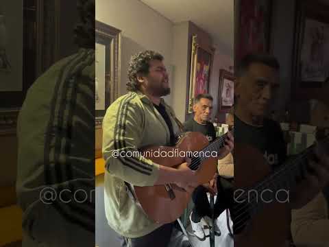 Pampran - “RAMITO DE VIOLETAS” 2024