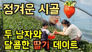 딸기를 사랑하는 두 남자와 시골 데이트(딸기 잘 따는 노하우 공개)