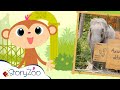 StoryZoo StoryZoo In The Zoo Learn About The Elephant Educational Videos For Children