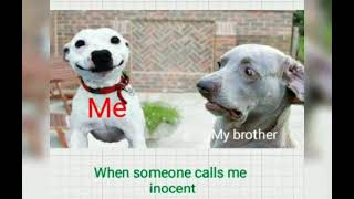 Funny quotes and jokes for brothers and sisters