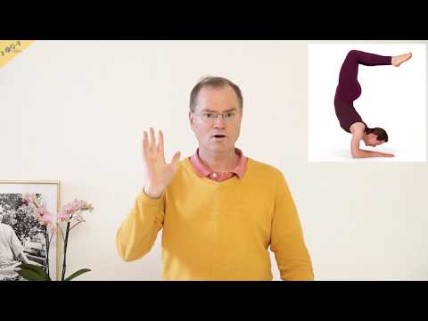 The Yoga Vidya Basic Series - Effects of the Asanas - YVS271