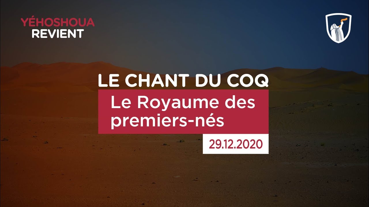 Thumbnail of video: Le Royaume des premiers-nés