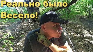 Старый ЛЕС порадовал находками. Поиск артефактов.