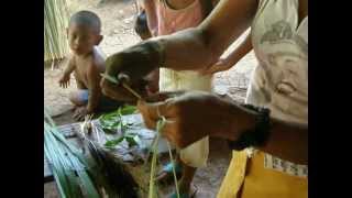 preview picture of video 'Aboriginal Arts, LLC Demonstrates Manufacturing Caña Flecha Fiber Strips'
