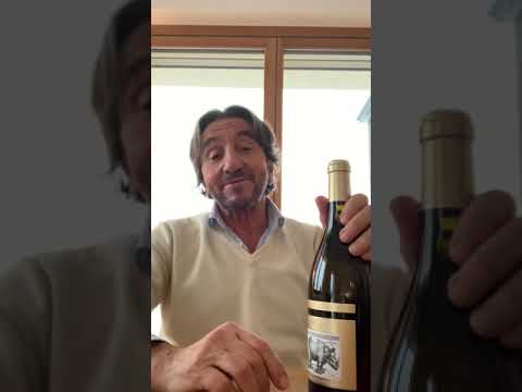 Introduction to La Spinetta