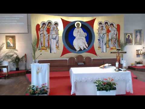 VII Niedziela zwykła - 20.02.2022 - Msza św. g.10