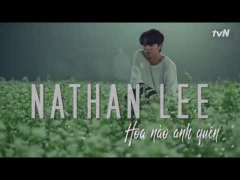 Nathan Lee - Hoa nào anh quên ( Goblin - Fanmade MV)