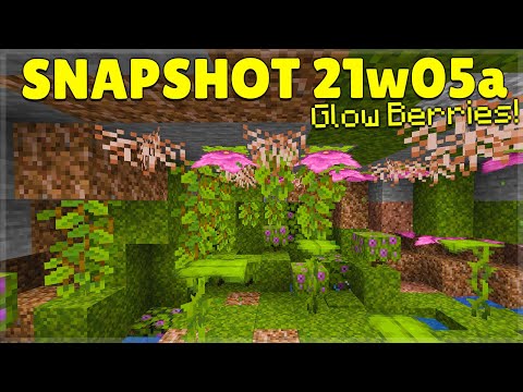 ECKOSOLDIER - Minecraft 1.17 Caves & Cliffs Snapshot 21w05a Glow Berries & Drip Leaf (Review)