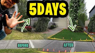 All Our Neighbors have 5 Day Germination!