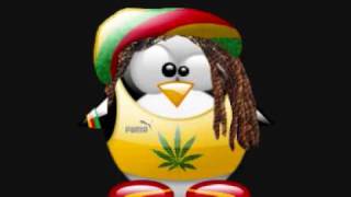 LIMP BY LIMP- CASA RASTA