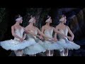 Swan Lake
