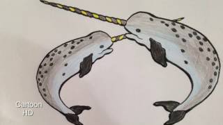 Learn Coloring for kids Narwhal, Coloring Page For Kids - Cartoon HD ✔