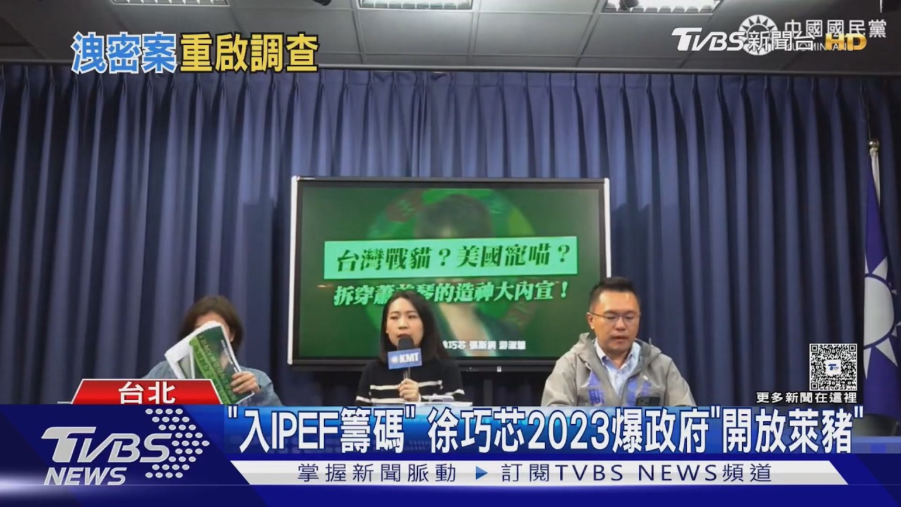 影音/2023洩密舊案重啟調查?!藍轟政治追殺 徐巧芯喊無懼