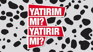 Filli Boya Dalmaçyalı Isı Yalıtım Sistemleri | Yatırım mı? Yatırır mı?