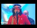 Super Furry Animals - Golden Retriever
