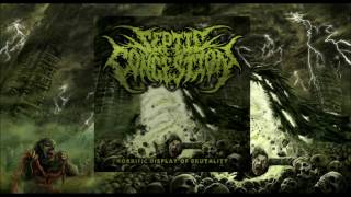 Septic Congestion - From Womb To Tomb (2016)