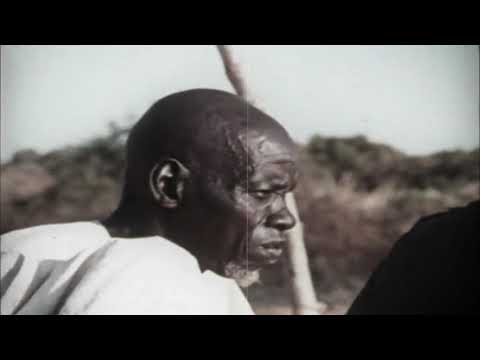 Voo Voo - Flota zjednoczonych sił