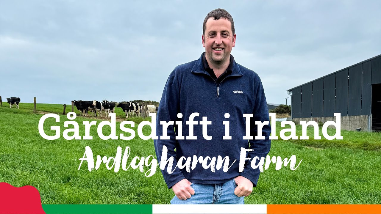 Ardlagharan Farm