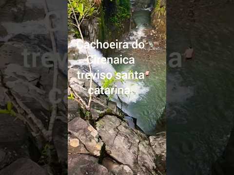 Cachoeira do Cirenaica treviso santa catarina #natureza #nature #shorts