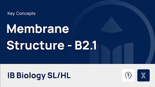Membrane Structure [IB Biology SL/HL]