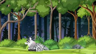 Baby Mozart Lullaby Zebra Vibes  | Princess Honey Lullaby