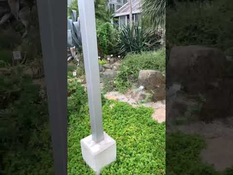 jardin-sec-plantes-érable-Japon-thuyas-gazon jardin sec