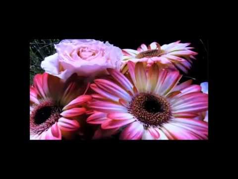 VIDEO:::FANOMM VS. Pharrell Williams_HAPPY (PVH Remix)