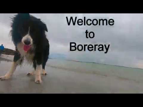 , title : 'Berneray to Boreray Sheep Shearing 30-07-19'