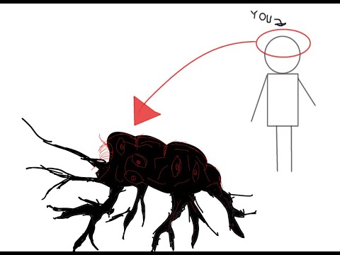 Ah, what a peaceful video... i hope no dead boats come along!