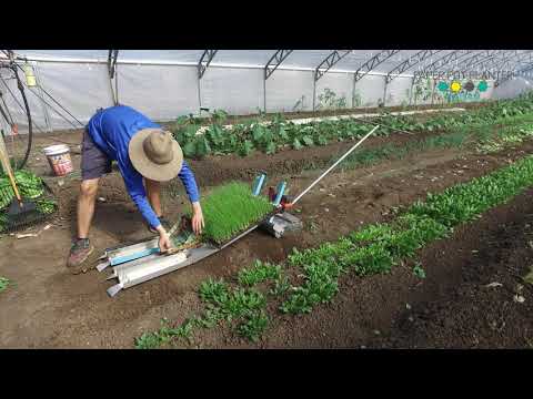 download lagu mp3 mp4 Eco Pot Planter, download lagu Eco Pot Planter gratis, unduh video klip Eco Pot Planter