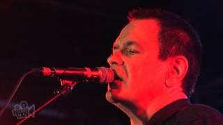 The Wedding Present - Suck (Live in Sydney) | Moshcam