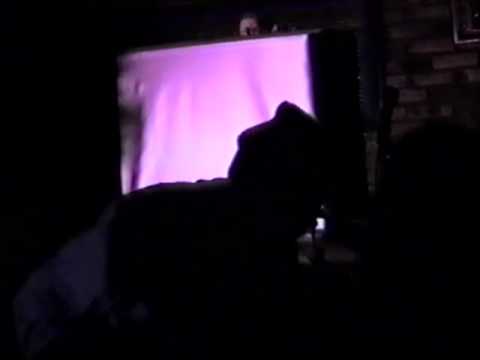 Tadpoles - Horse and Buggy - Live At The Charleston, Brookyn NY - 11-16-98