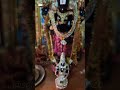 Govinda Purattasi Morning Venkatajalapathy Perumal Srinivasa Pooja 2023 Religion Shortsfeed