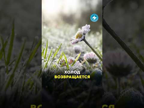 ОПАСНАЯ ПОГОДА ПРИБЛИЖАЕТСЯ #беларусь #новости #погода #холод