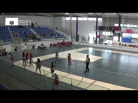 CC PREMINI FEM 2019 CB Sauces Breña Alta - CB Guancha