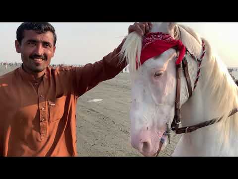 Karachi Sea View Beach | Masood Khan