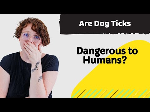Are Dog Ticks Dangerous to Humans? If you have a dog, You MUST SEE THIS!