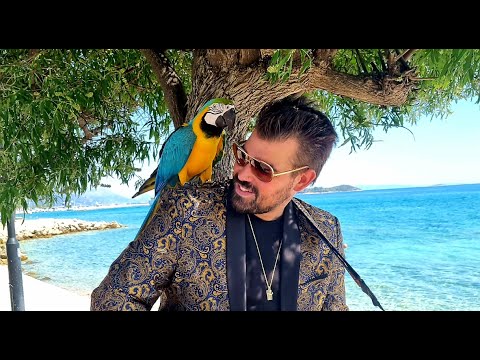 Robert Ficker - Sumrak naše ljubavi (Official Video)