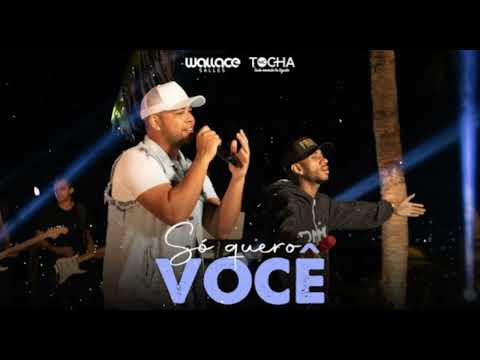 MC TOCHA & WALLACE SALLES - SO QUERO VOCÊ (MÚSICA NOVA 2022)