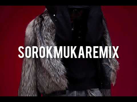 SOROK MUKA REMIX ( ALYPH X GARD )