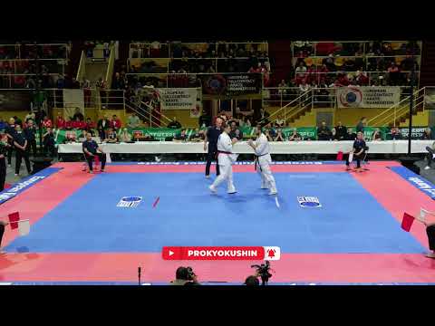 EFKO European Cup, 1/4 +90kg Antanas Klibavičius (Lithuania, aka) - Hannes Drechsler (Germany)