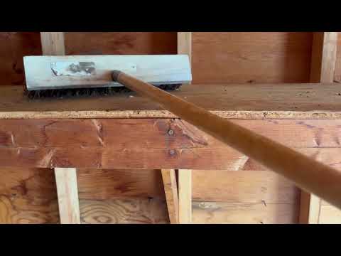 Shed Full of Mice Poop in Adelphia, NJ