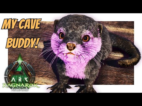 I Tamed the Perfect Cave Companion – An Otter! | ASA Ragnarok [E14]