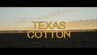 Texas Cotton (2018) Video