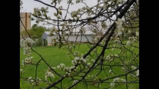 Can anyone who's heard this music be a bad person? - Kaki King