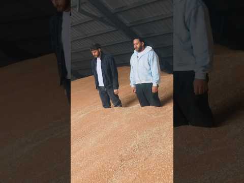 Que faire avec un tas de blé ? (ft @byilhan @nicotine84)