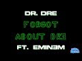 Forgot About Dre - Dr. Dre ft. Eminem (Karaoke)