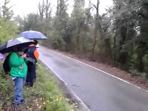 32 rally del carnevale 2013 ps3