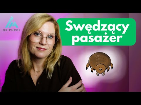 Do you have an itchy rash? Could it be scabies?! Pediatrician explains